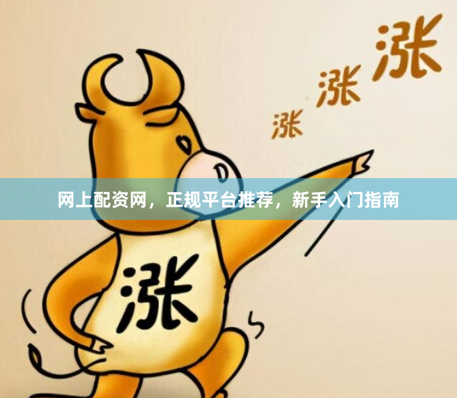 网上配资网，正规平台推荐，新手入门指南