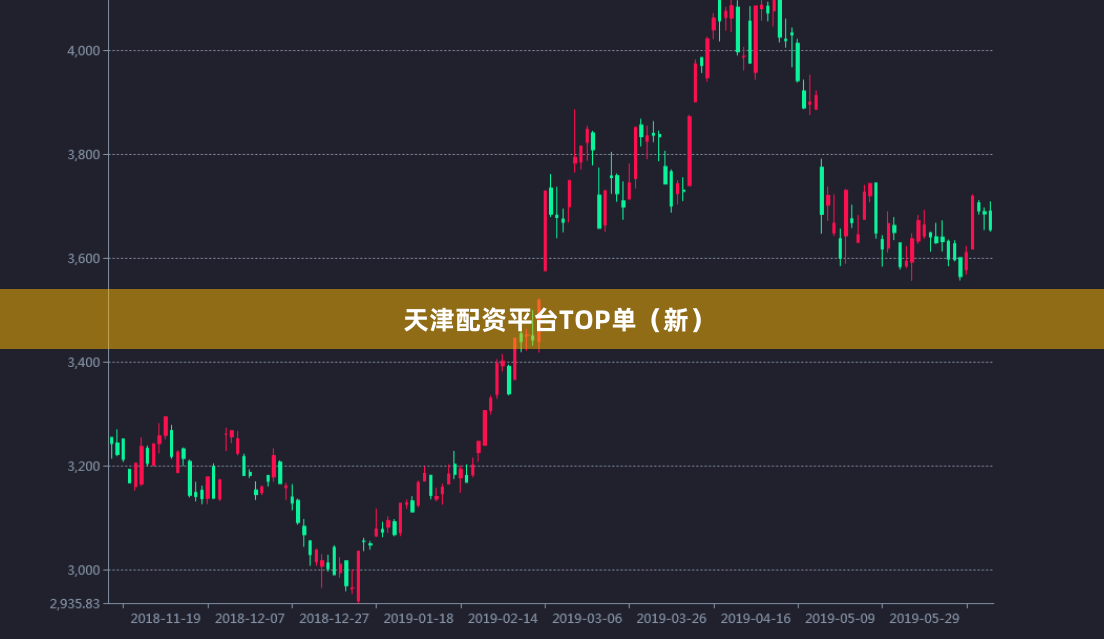 天津配资平台TOP单（新）