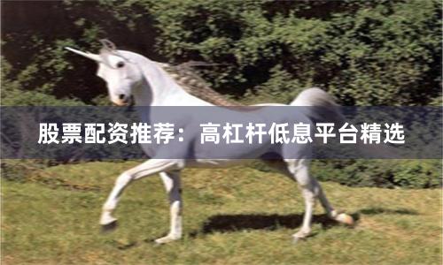 股票配资推荐：高杠杆低息平台精选